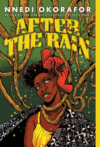 Cover image for 9781419743566 - After the Rain