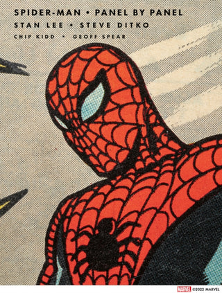 Supplemental image for 9781419764011 - Spider-Man: Panel by Panel