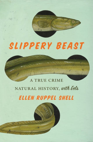 Supplemental image for 9781419765858 - Slippery Beast