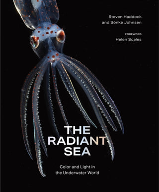 Cover image for 9781419772375 - The Radiant Sea