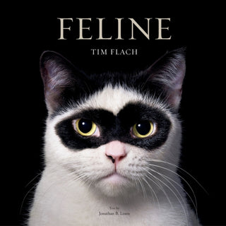 Cover image for 9781419773648 - Feline