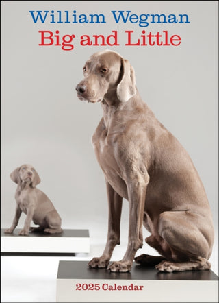 Cover image for 9781419774065 - William Wegman Big and Little 2025 Wall Calendar