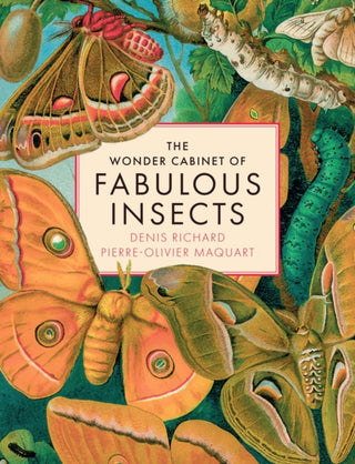 Supplemental image for 9781419779763 - The Wonder Cabinet of Fabulous Insects