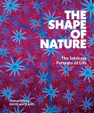 Cover image for 9781419779794 - The Shape of Nature