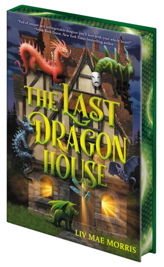 Cover image for 9781419784613 - The Last Dragon House