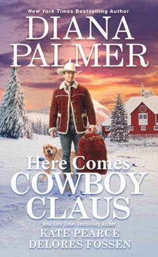 Cover image for 9781420155341 - Here Comes Cowboy Claus