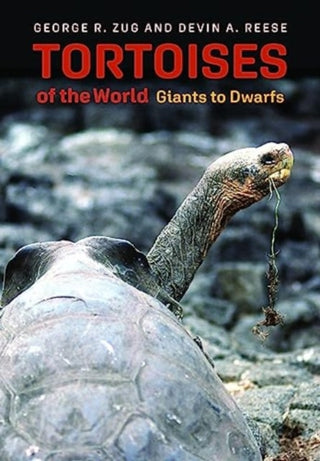 Cover image for 9781421448350 - Tortoises of the World