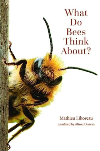 Cover image for 9781421448589 - What Do Bees Think About?