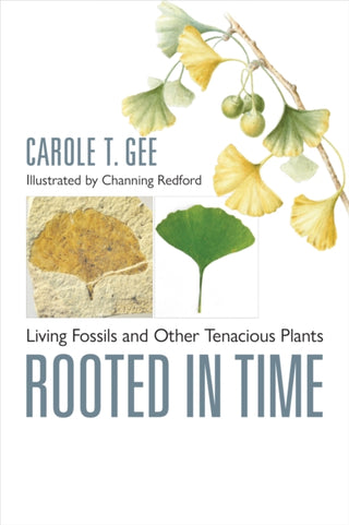 Cover image for 9781421449388 - Rooted in Time