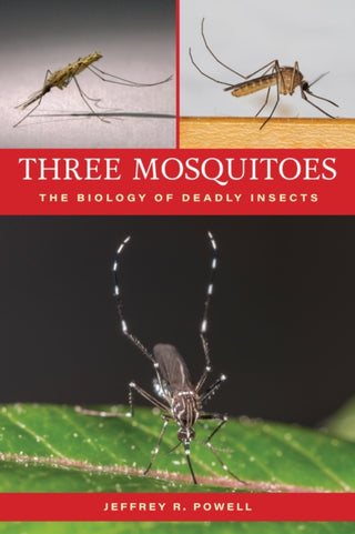 Cover image for 9781421451695 - Three Mosquitoes