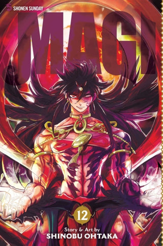 Cover image for 9781421559629 - Magi: The Labyrinth of Magic, Vol. 12