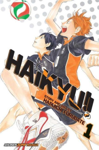 Cover image for 9781421587660 - Haikyu!!, Vol. 1