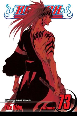 Cover image for 9781421594347 - Bleach, Vol. 73