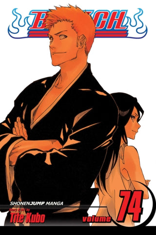 Cover image for 9781421596020 - Bleach, Vol. 74