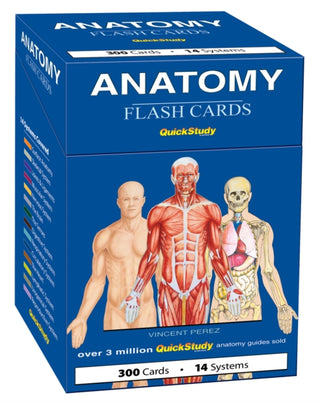 Cover image for 9781423251385 - Anatomy Flash Cards (300 Cards)