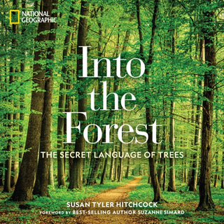 Cover image for 9781426218903 - Into the Forest