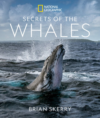 Cover image for 9781426221873 - Secrets of the Whales