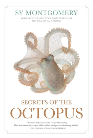 Cover image for 9781426223723 - Secrets of the Octopus