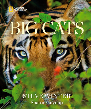Cover image for 9781426224171 - Big Cats