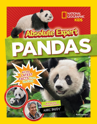 Cover image for 9781426334313 - Absolute expert: Pandas