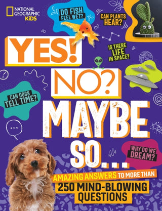 Supplemental image for 9781426375736 - Yes! No? Maybe So...