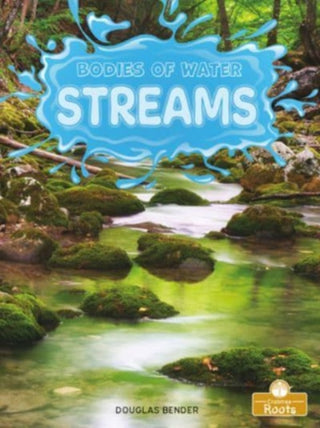 Supplemental image for 9781427156013 - Streams