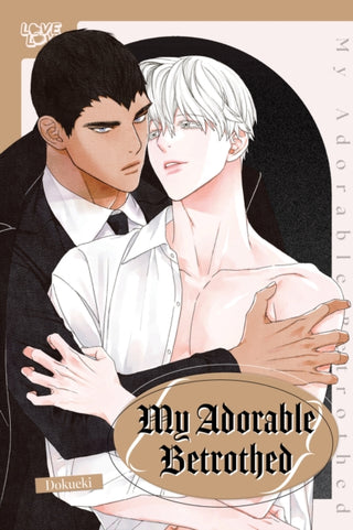 Cover image for 9781427881335 - My Adorable Betrothed