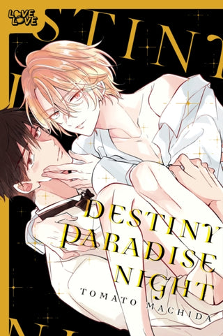 Cover image for 9781427886132 - Destiny Paradise Night