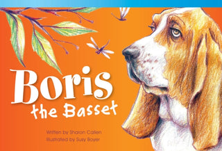 Cover image for 9781433354540 - Boris the Basset