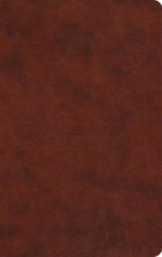 Supplemental image for 9781433550263 - ESV Large Print Value Thinline Bible