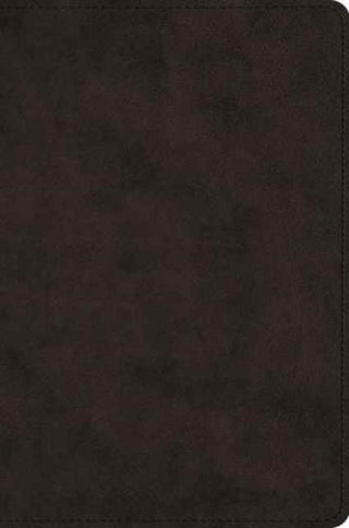 Cover image for 9781433551789 - ESV Large Print Bible (TruTone, Black)
