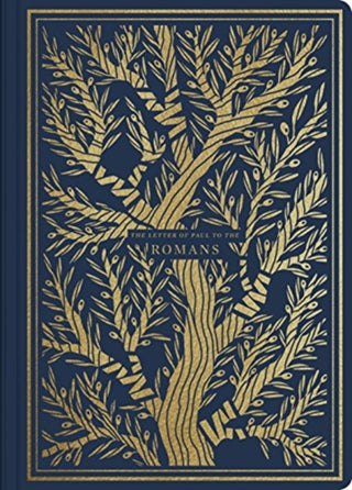 Cover image for 9781433564819 - ESV Illuminated Scripture Journal
