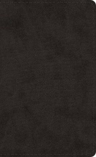 Cover image for 9781433568831 - ESV Pocket Bible