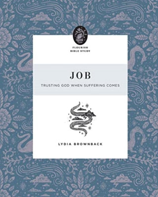 Cover image for 9781433575396 - Job