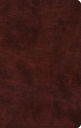 Cover image for 9781433575891 - ESV Large Print Thinline Bible (TruTone, Mahogany)