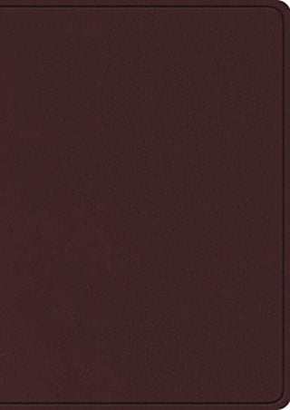 Cover image for 9781433575938 - ESV Study Bible, Large Print