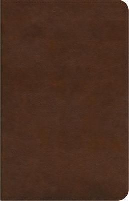 Cover image for 9781433577932 - ESV Concise Study Bible™