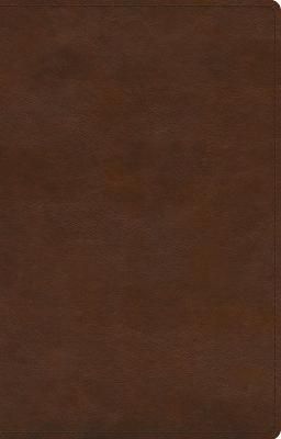 Cover image for 9781433580147 - Gentle and Lowly