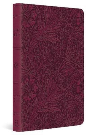 Cover image for 9781433582509 - ESV Large Print Value Thinline Bible