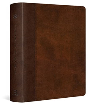Cover image for 9781433590450 - ESV Journaling Study Bible (TruTone, Brown/Chestnut, Timeless Design)
