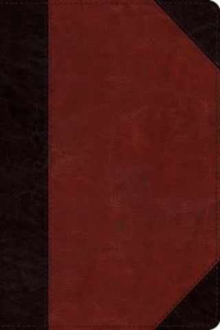 Cover image for 9781433593239 - ESV Study Bible, Personal Size (TruTone, Brown/Cordovan, Portfolio Design)