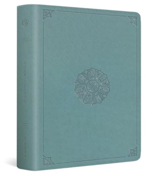 Cover image for 9781433595677 - ESV Journaling Bible