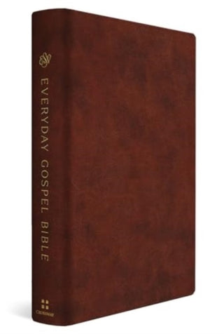 Cover image for 9781433595707 - ESV Everyday Gospel Bible