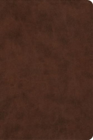 Cover image for 9781433598357 - ESV Holy Bible