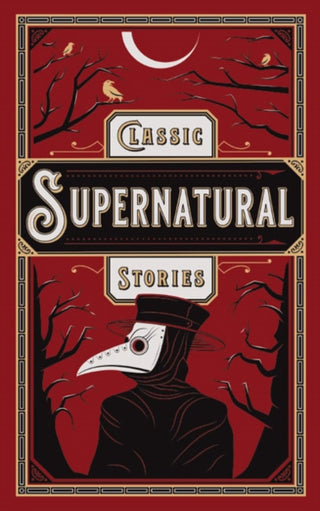 Cover image for 9781435169418 - Classic Supernatural Stories