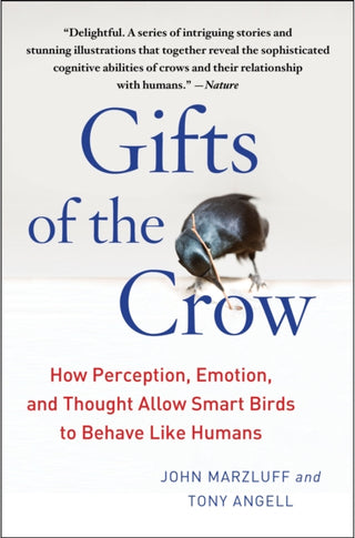 Cover image for 9781439198742 - Gifts of the Crow