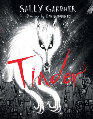 Cover image for 9781444000559 - Tinder