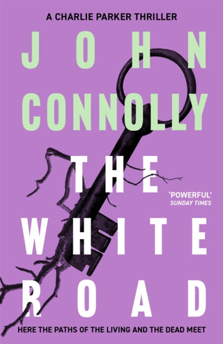 Cover image for 9781444704716 - The White Road