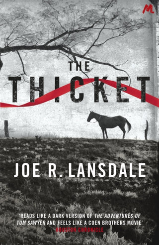 Cover image for 9781444736922 - The Thicket
