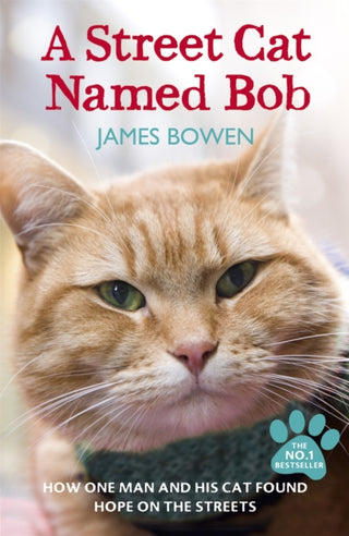 Cover image for 9781444737110 - A Street Cat Named Bob